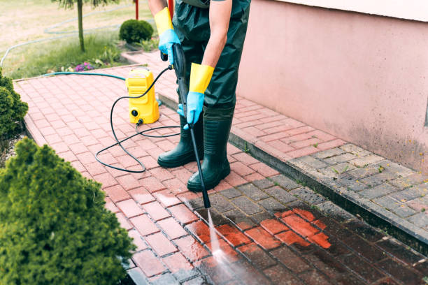 Best House Exterior Washing  in Black Diamond, WA